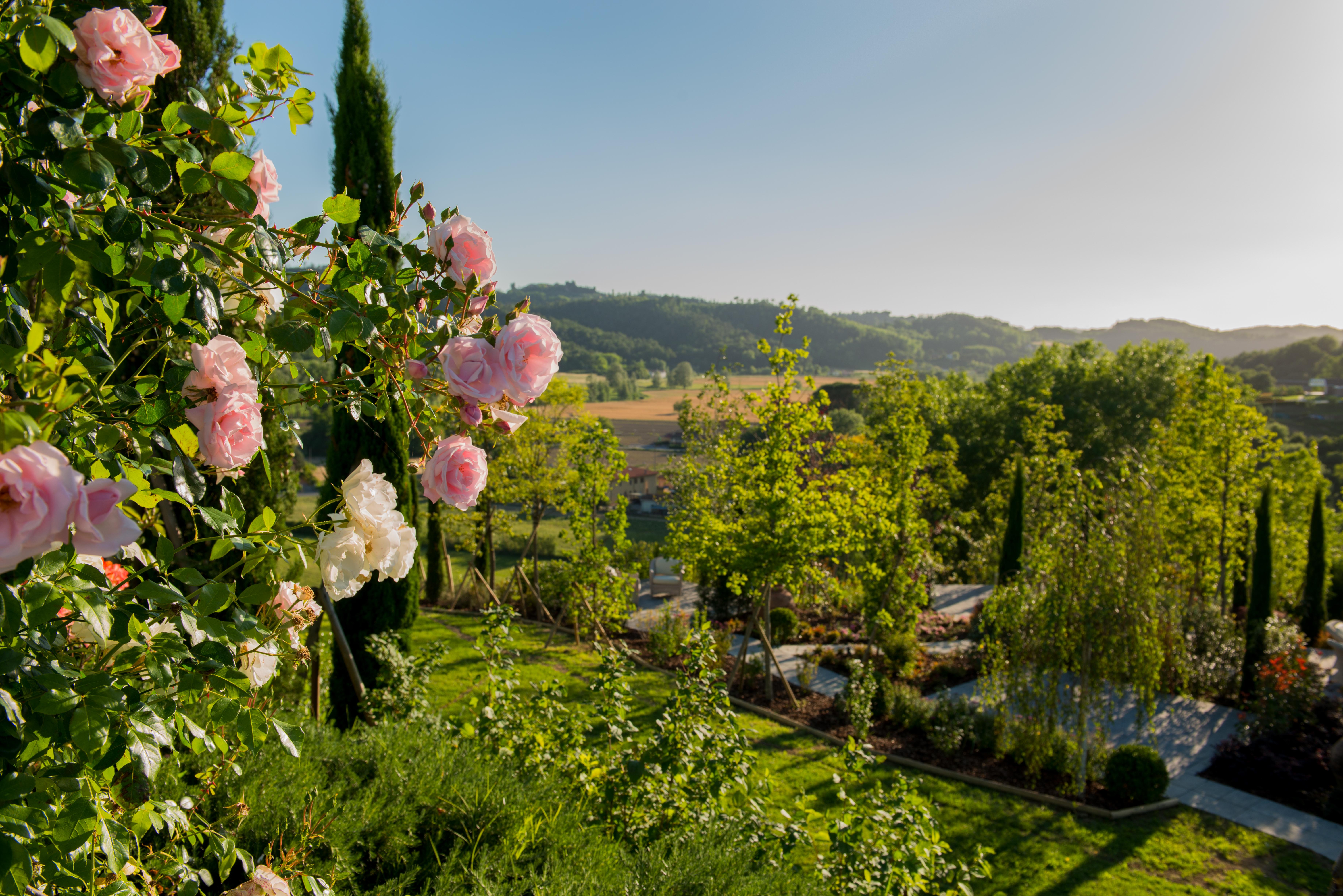 Готель Relais Sassa Al Sole Сан-Мініато Екстер'єр фото